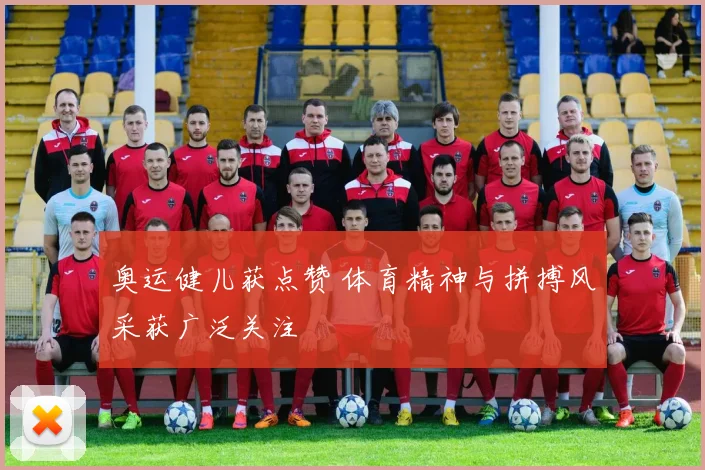 奥运健儿获点赞 体育精神与拼搏风采获广泛关注