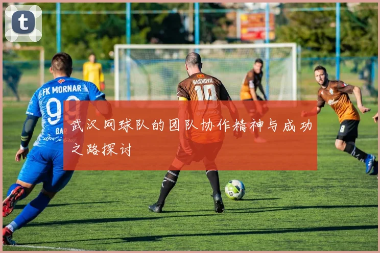 武汉网球队的团队协作精神与成功之路探讨