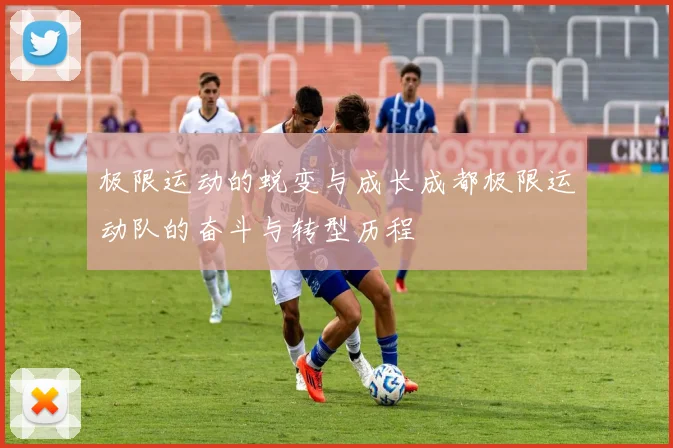 极限运动的蜕变与成长成都极限运动队的奋斗与转型历程