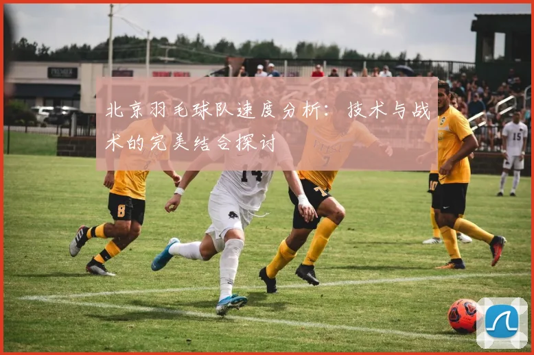 北京羽毛球队速度分析：技术与战术的完美结合探讨