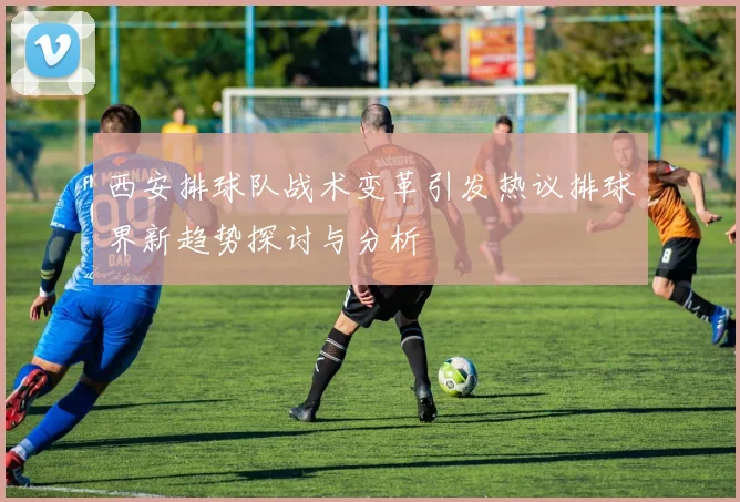 西安排球队战术变革引发热议排球界新趋势探讨与分析