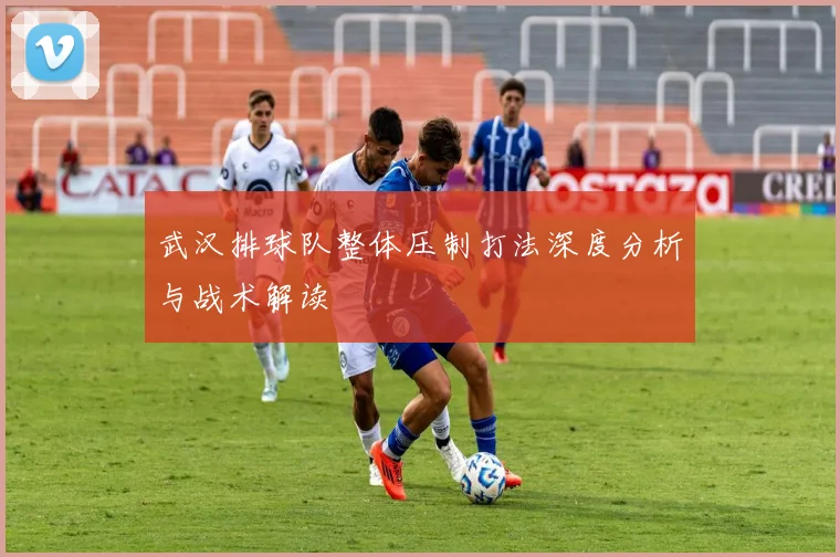 武汉排球队整体压制打法深度分析与战术解读