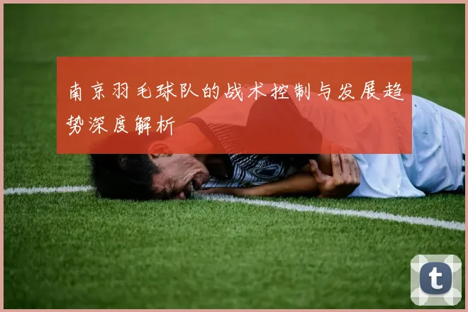 南京羽毛球队的战术控制与发展趋势深度解析